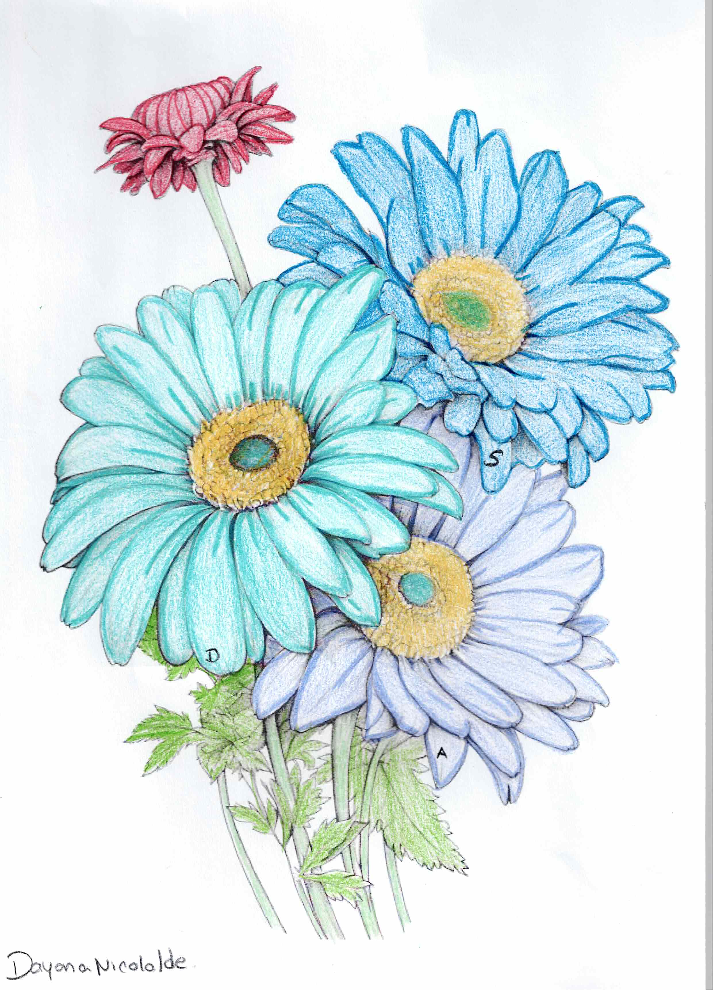 Artwork by Dayana Nicolalde